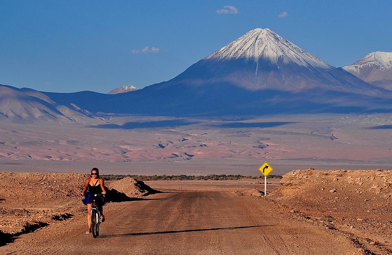 Chili - Des pluies inhabituelles font fleurir le désert aride d'Atacama