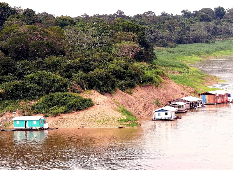 Brésil - La déforestation fragmente l'Amazonie (étude)